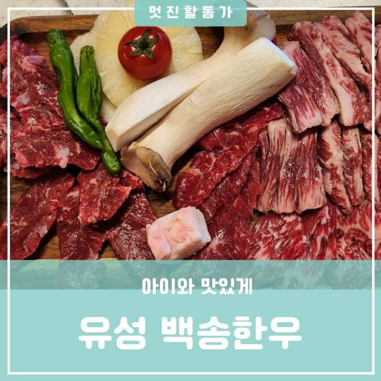 대전 유성 월드컵경기장 한우 맛집 백송한우 룸식당 추천 가족,친구와 먹는 한우 대전 유성 월드컵경기장 한우 맛집 백송한우 룸식당 추천 가족,친구와 먹는 한우