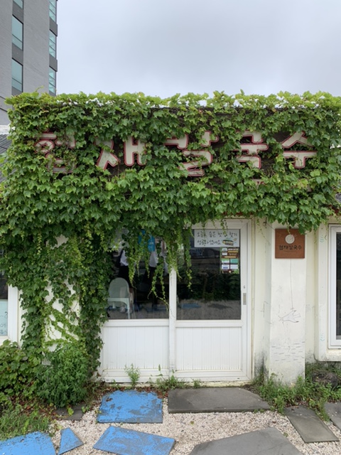  제주 맛집 협재칼국수 시원한 한치 물회까지