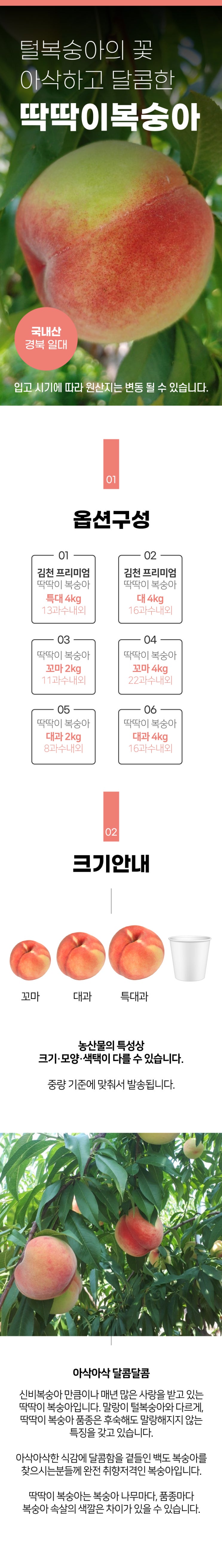  천도복숭아 딱딱이복숭아 말랑이복숭아 가 뭘까?