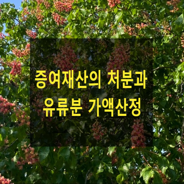  상속 - 증여재산의 처분과 유류분 가액산정(대법원 2023. 5. 18. 선고 2019다222867), (증여받은 재산이 상속개시 전에 수용된 경우 그 재산의 가액산정)