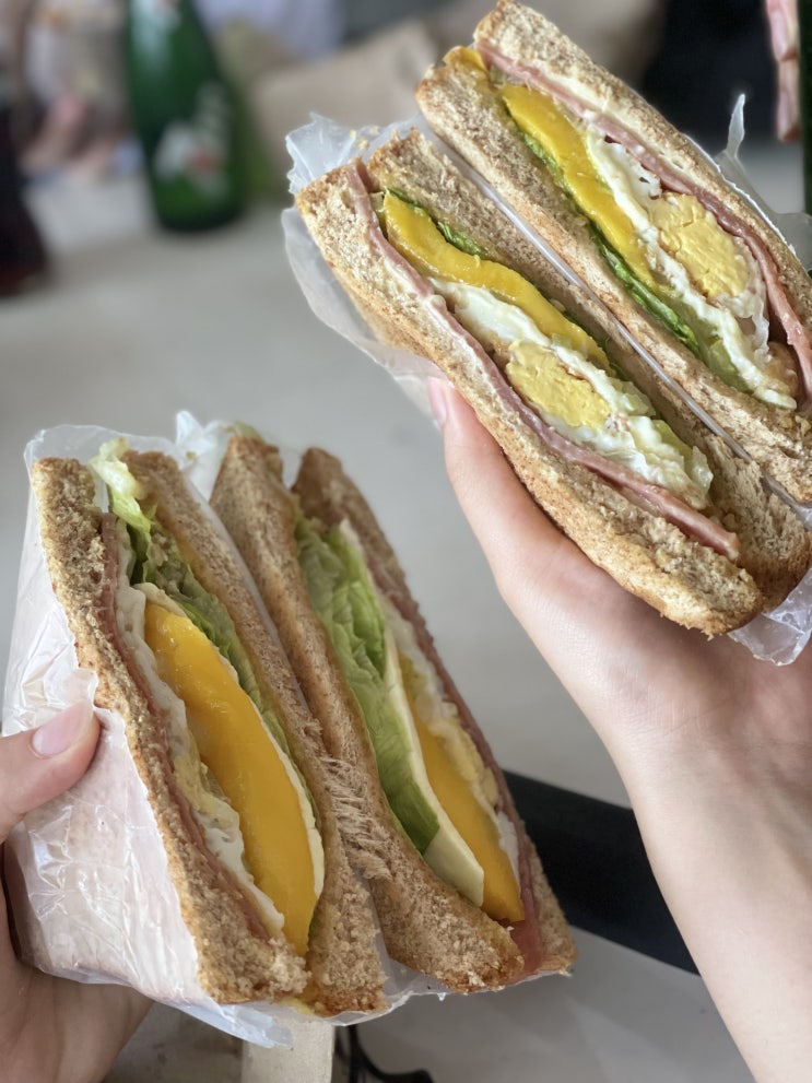  Fox들의 세부(CEBU) 캐녀닝투어