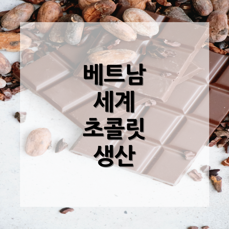 베트남 카카오 초콜릿 생산? 세계 초콜릿?