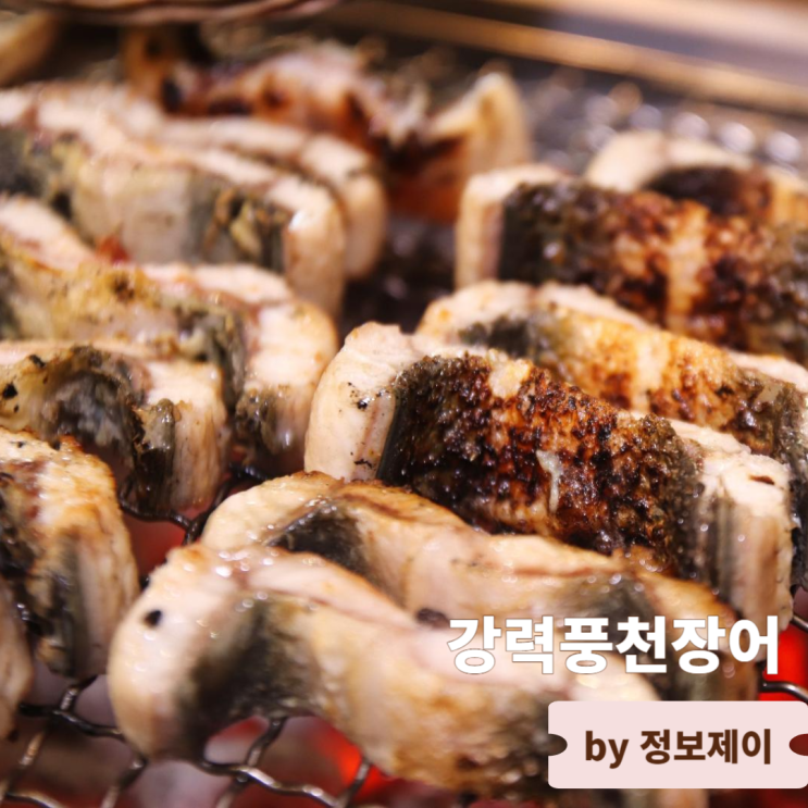  안산 고잔동 장어구이 맛집 강력풍천장어 고잔점