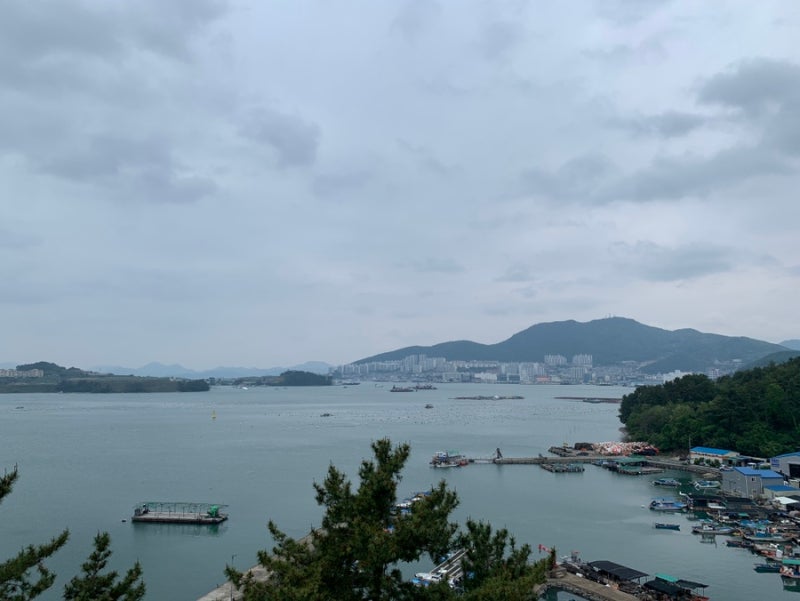 사진 2