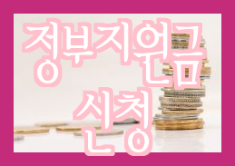  생활지원금은 정부가 24시간 동안 단 한 번 간편하게 신청하세요.