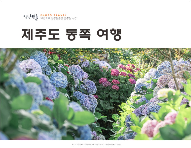 제주도 7월 동부코스 가족여행코스 추천 5선