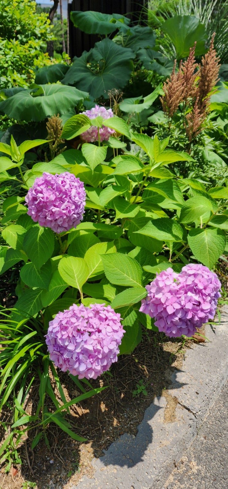 본능이 아닌 주님을 따르게 하소서