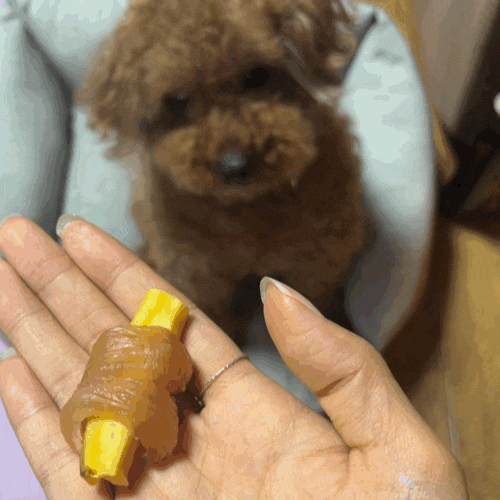강아지 간식 추천드립니당=> 똘이엄마 수제간식 황태 보양식 강아지 간식 추천드립니당=> 똘이엄마 수제간식 황태 보양식