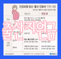  출산지원금 신청에 대한 정리와 안내