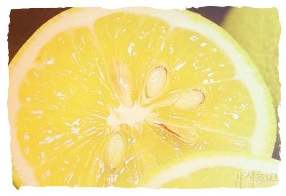 블랙베리묘목 심어보기: 아름다운 자연과의 만남