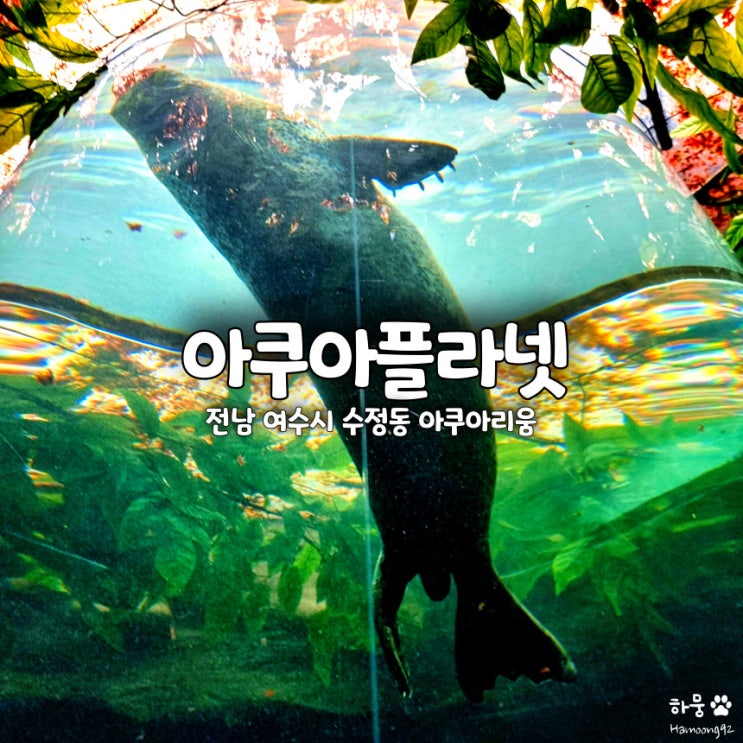  여수 아쿠아플라넷, 아쿠아리움 실내데이트 관람시간 가격 할인