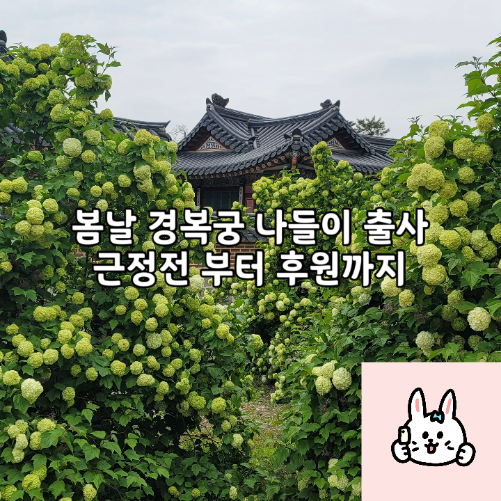  4월말 봄날 경복궁 나들이 출사 | 근정전 부터 후원까지