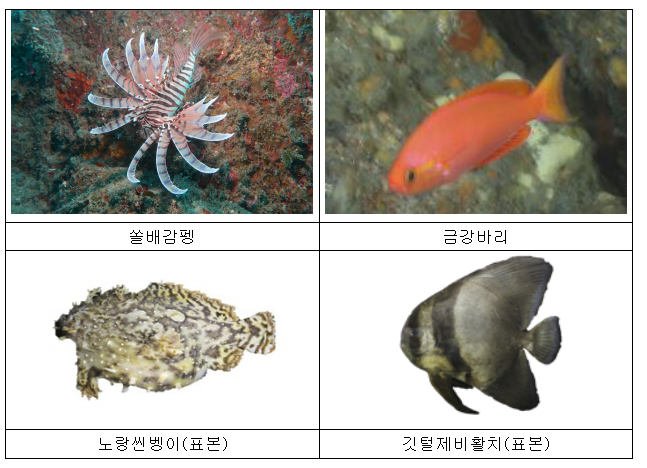 거문도에 국립공원 해양 기후변화 연구시설 개소 거문도에 국립공원 해양 기후변화 연구시설 개소