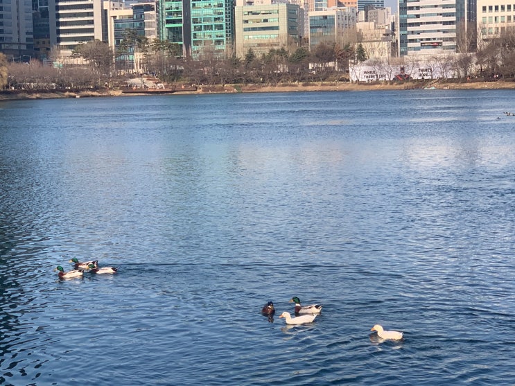  원천세 가산세