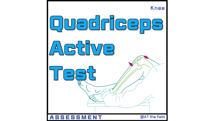 Quadriceps active test(대퇴사두근 능동 검사) / 후방십자인대 손상 이학적 검사, 후방십자인대 파열 검사,sag sign
