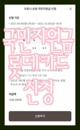  임산부 국민행복카드 롯데카드 신청후기