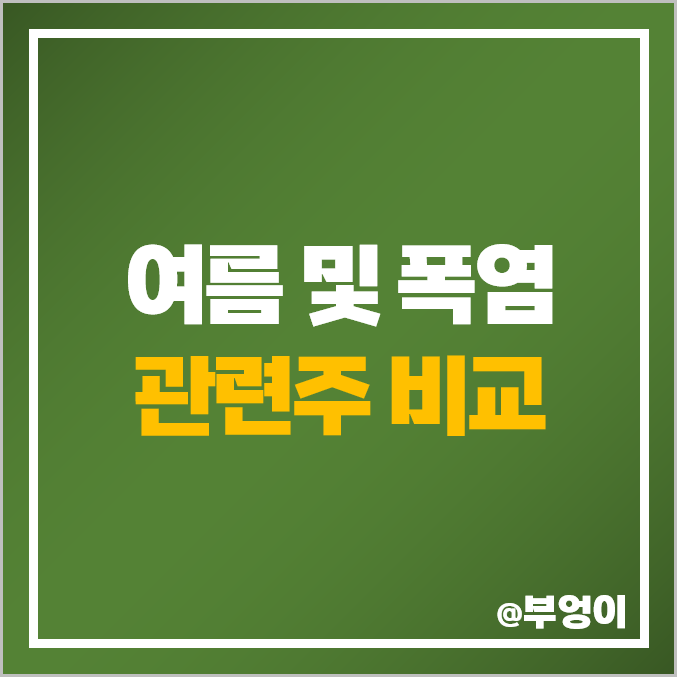 폭염 관련주 : 여름 테마주 주식, 대장주 비교 폭염 관련주 : 여름 테마주 주식, 대장주 비교