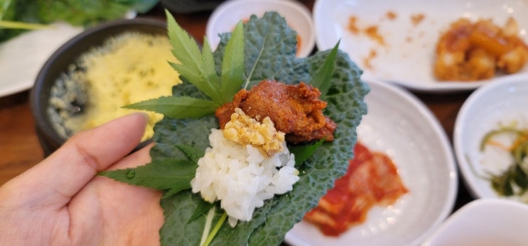  [파주 문산/채송쌈밥] 임진각 근처 쌈 채소 무한리필 당동리 쌈밥 맛집