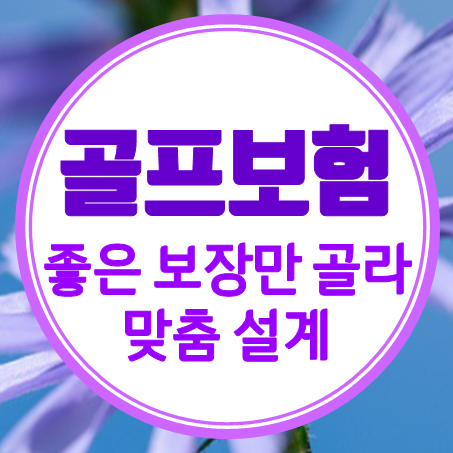  골프보험추천 홀인원 골프채 파손 수리 대비 골프보험비교 후 준비하세요.