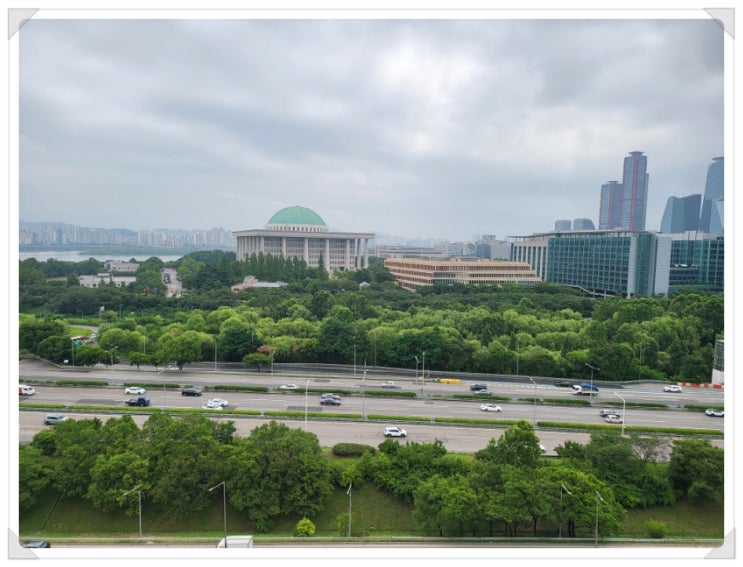  여의도 국회의사당을 보며 미세벌레 방충망을 설치하다 / 파란몽키 집수리 / 당산 강변래미안