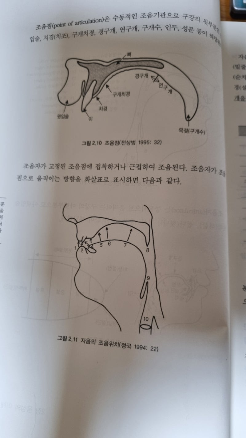 한국어 음운론 자음 모음 공명음 장애음 음운변동 : 네이버 블로그