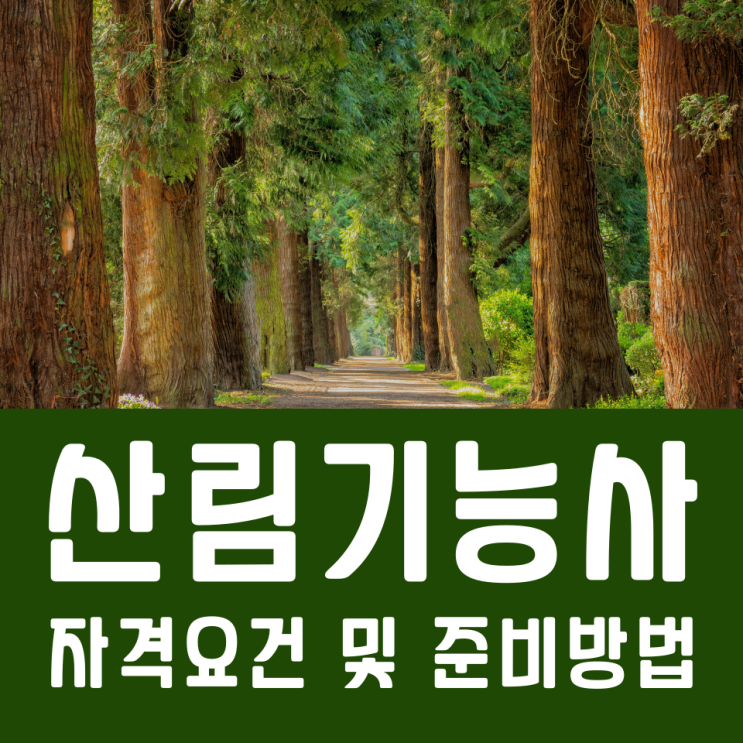 산림기능사 자격요건 및 준비방법 산림기능사 자격요건 및 준비방법