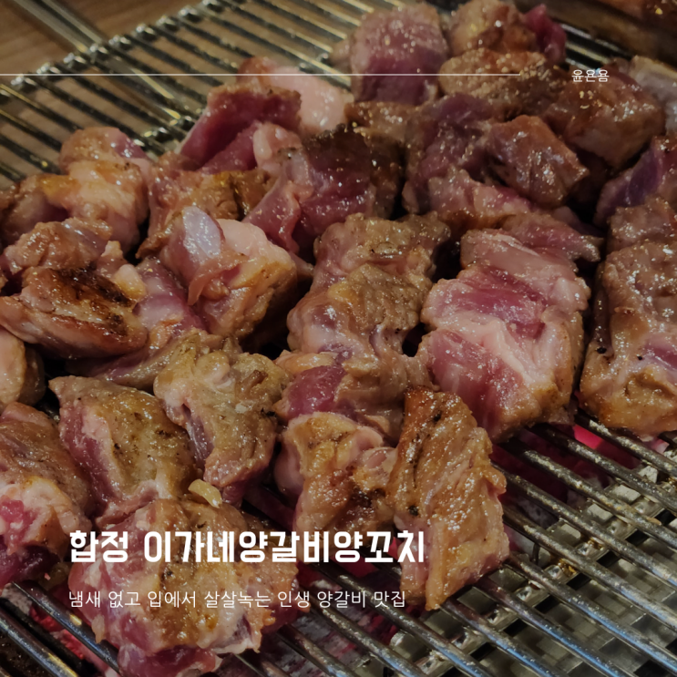  합정 이가네양갈비양꼬치 대존맛 인생 양갈비 내돈내산