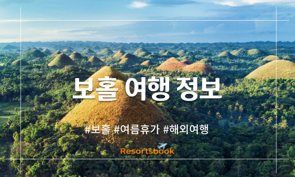  필리핀 보홀 탐험: 자연의 매력과 숨겨진 매력 발견