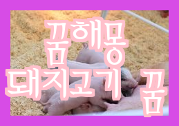  꿈해몽 돼지죽이는 사체 기르기