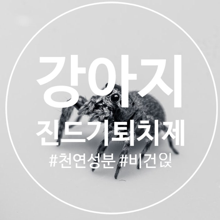 산책 지킴이, 천연 강아지 진드기 퇴치제로 해결