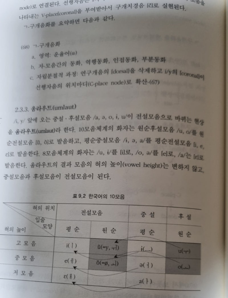 한국어 음운론 자음 모음 공명음 장애음 음운변동 : 네이버 블로그