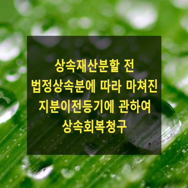  상속재산분할 전 법정상속분에 따라 마쳐진 지분이전등기에 관하여 상속회복청구(대법원 2023. 4. 27. 선고 2020다292626)