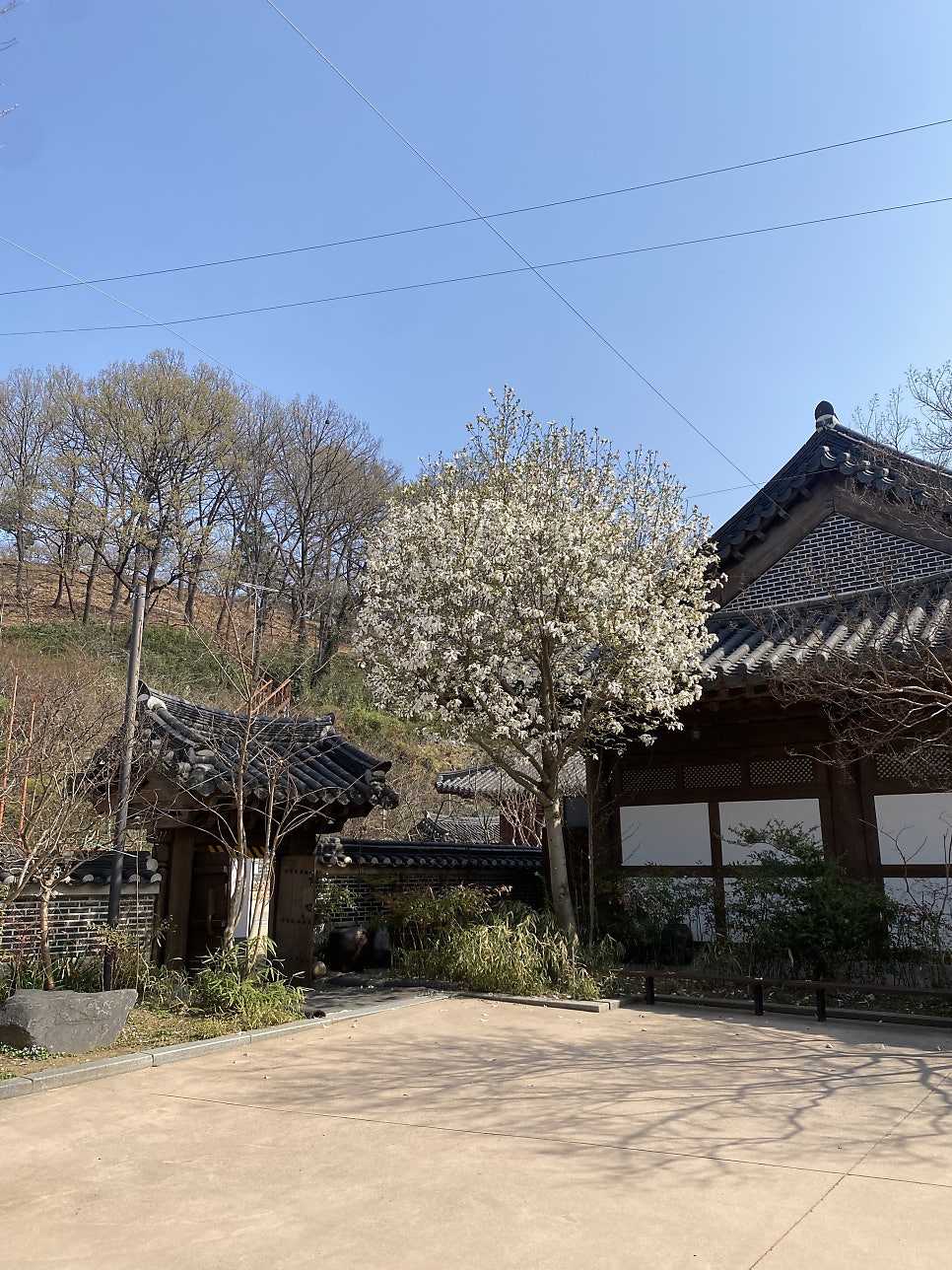 벨르라끄베르 사진 6
