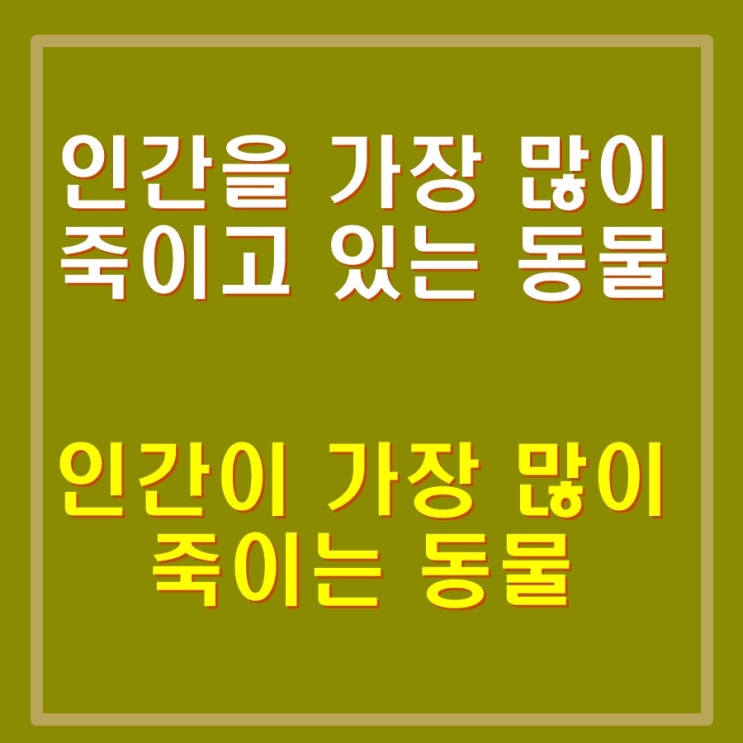  모기가 인간을 가장 많이 죽인다고. 모기퇴치하자. 모기가 옮기는 질병 말라리아, 뎅기열, 일본뇌염, 지카바이러스, 황열병 등