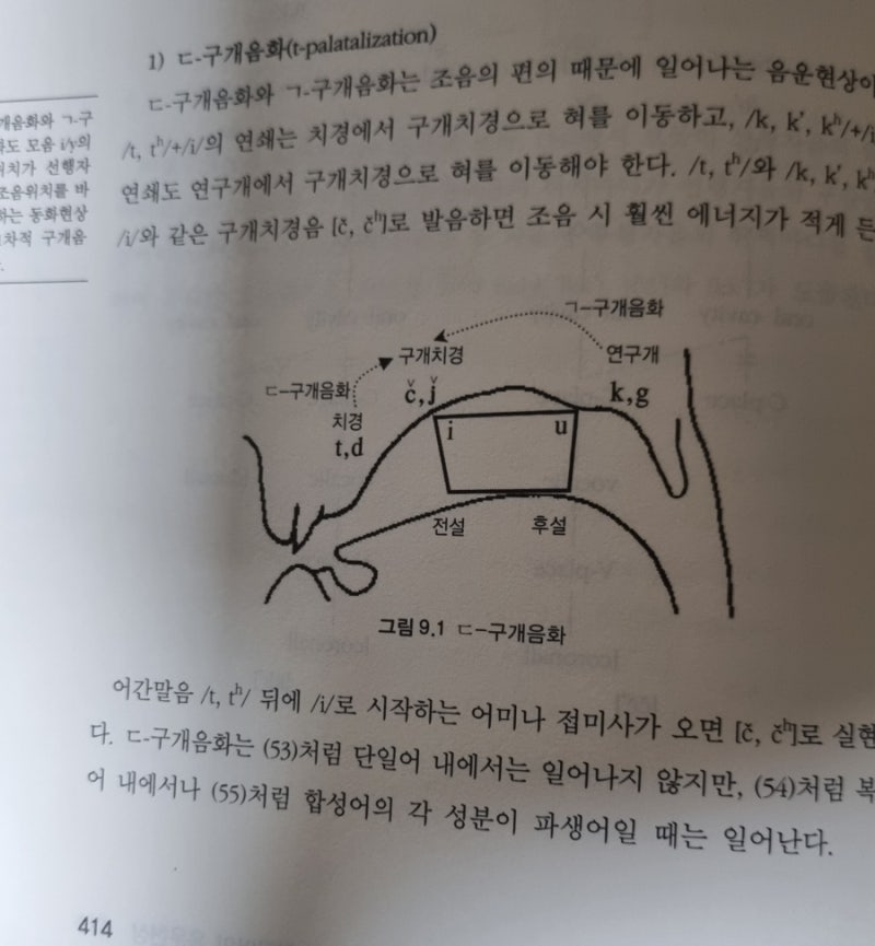 한국어 음운론 자음 모음 공명음 장애음 음운변동 : 네이버 블로그