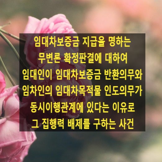 임대차보증금 지급을 명하는 무변론 확정판결에 대하여 임대인이 임대차보증금 반환의무와 임차인의 임대차목적물 인도의무가 동시이행관계에 있다는 이유로 그 집행력 배제를 구하는 사건