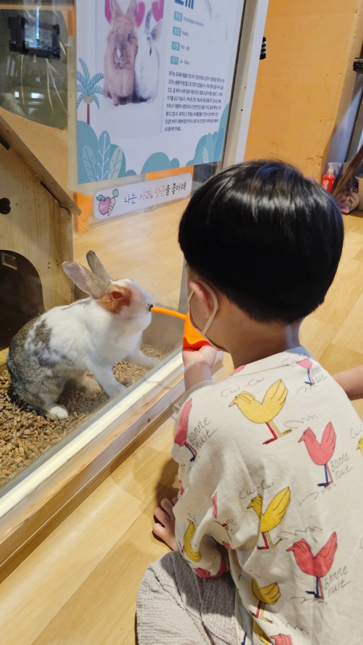  동물원과 키즈카페를 한 번에 즐기는 쥬라리움 금천 방문후기