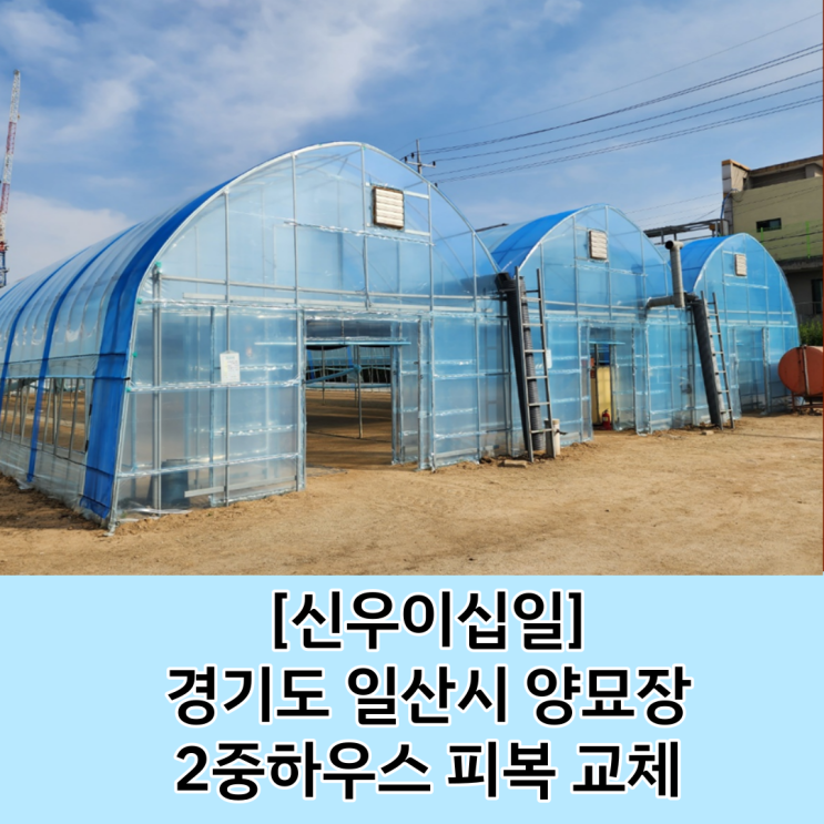 [화성 비닐하우스] 고양시 덕양구 양묘장 피복교체 / 양묘장 피복 / 비닐하우스 비닐 / 2중하우스 비닐 교체