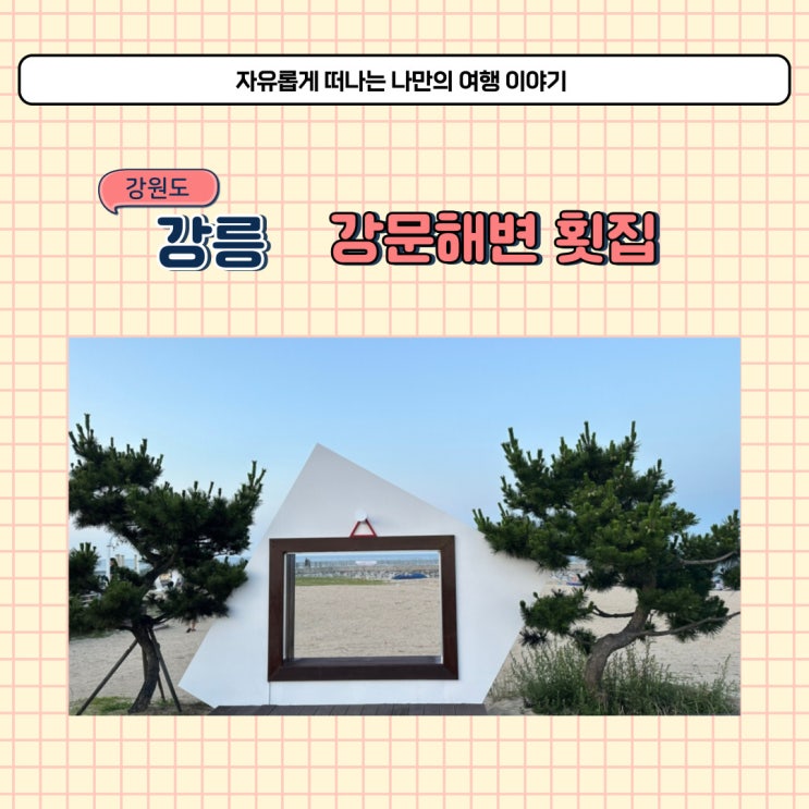  강릉 영동횟집 강문해변 맛집 자연산 회가 맛있는 집 주차장 팁