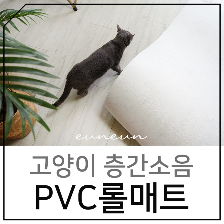 PVC롤매트 에코플로어 층간소음 방지 고양이 매트