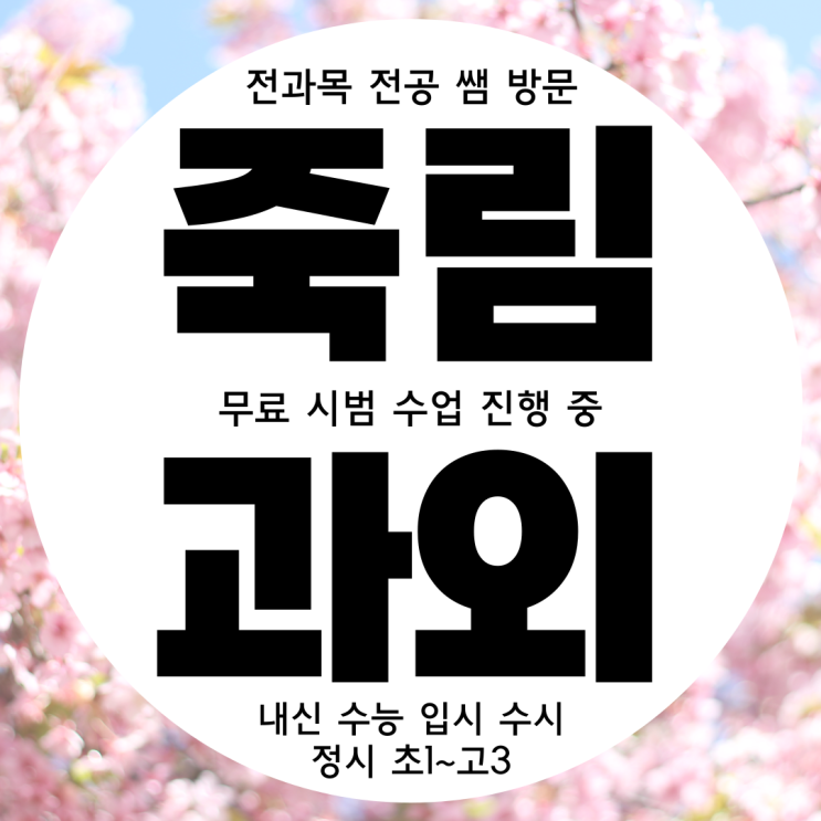  여수 죽림 초등 수학과외 여천동 초등학생 영어과외 초등부 전과목과외 국어