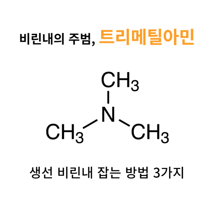  수산물 도매업체 대표가 알려주는 생선 비린내 잡는 방법  3가지