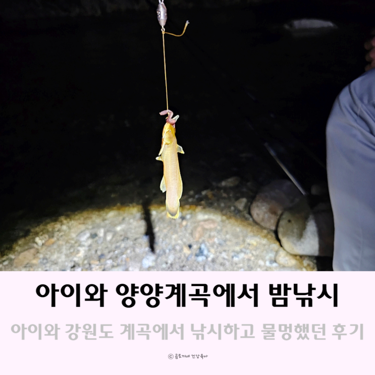 양양 낚시 아이와 계곡에서 밤데이트 양양 낚시 아이와 계곡에서 밤데이트