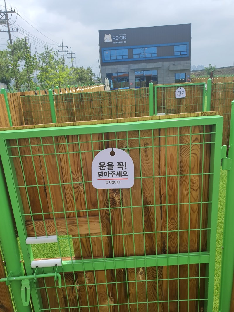사진 8
