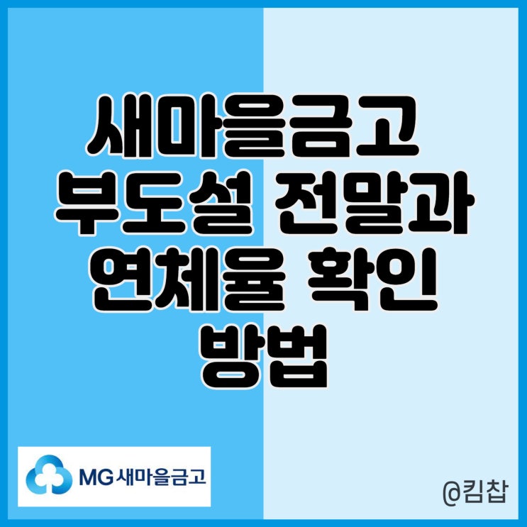 새마을금고 부실 지점 30곳 연체율 확인과 부도설의 전말