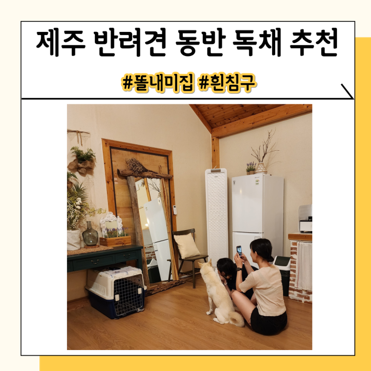 제주도 애견동반 독채 펜션 이틀동안 힐링한 똘내미집 제주도 애견동반 독채 펜션 이틀동안 힐링한 똘내미집