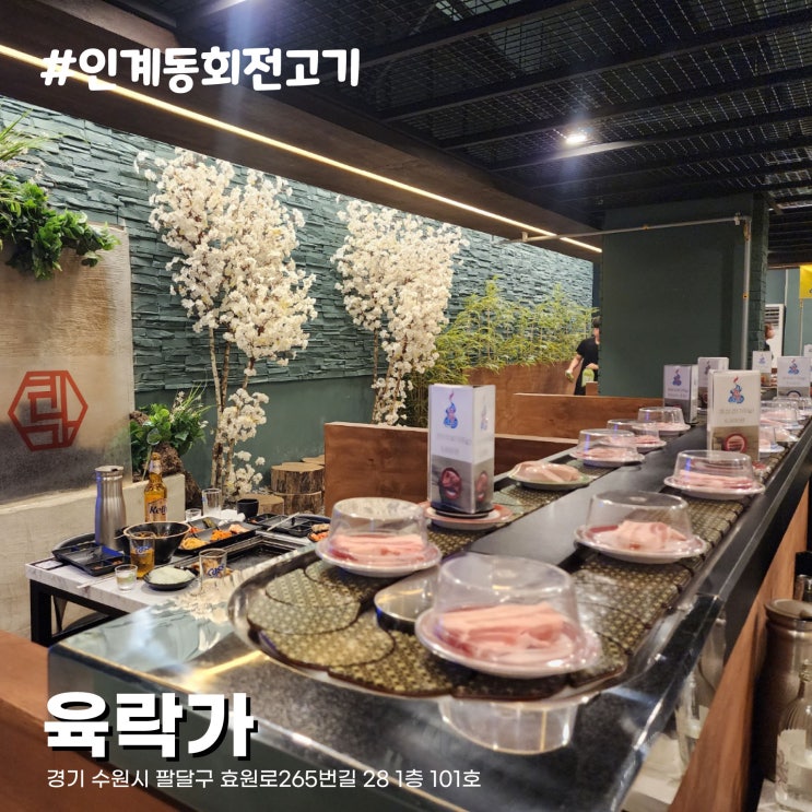  고기도 골라먹는 회전레일 정육식당 인계동 고기 맛집 수원 육락가