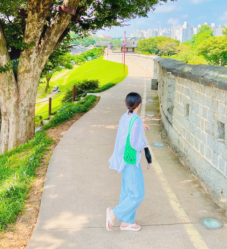  수원 가볼만한곳 수원화성/ 화성행궁 해바라기 후기