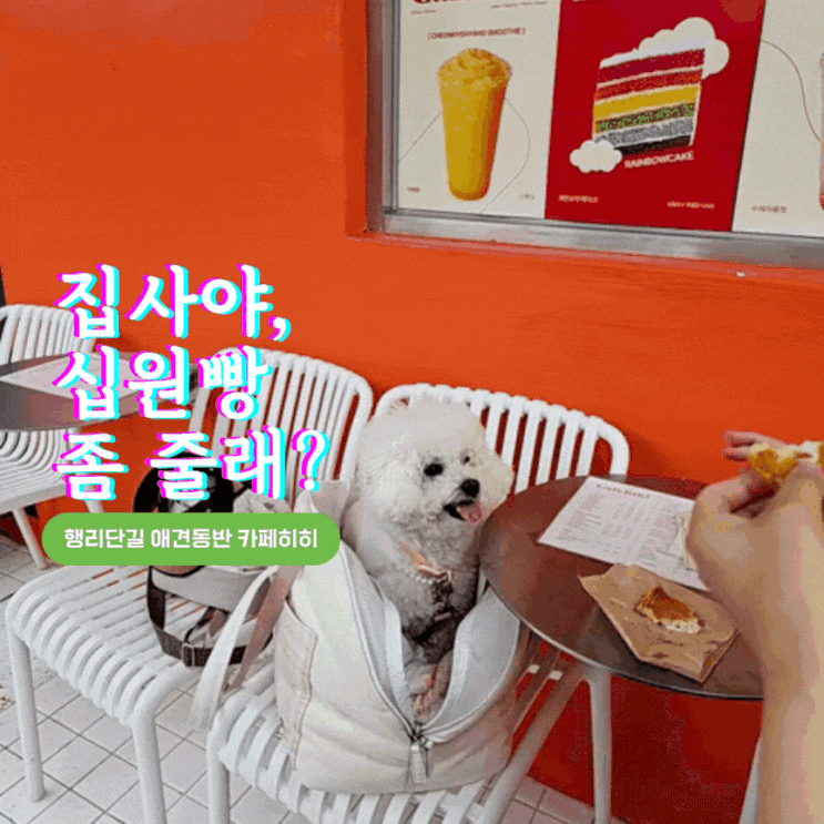  요즘 난리난 경주십원빵이 행리단길에 있다?