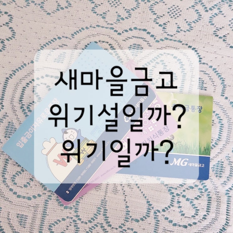  새마을금고 안전성 확인하기  경영지표 확인하는 법